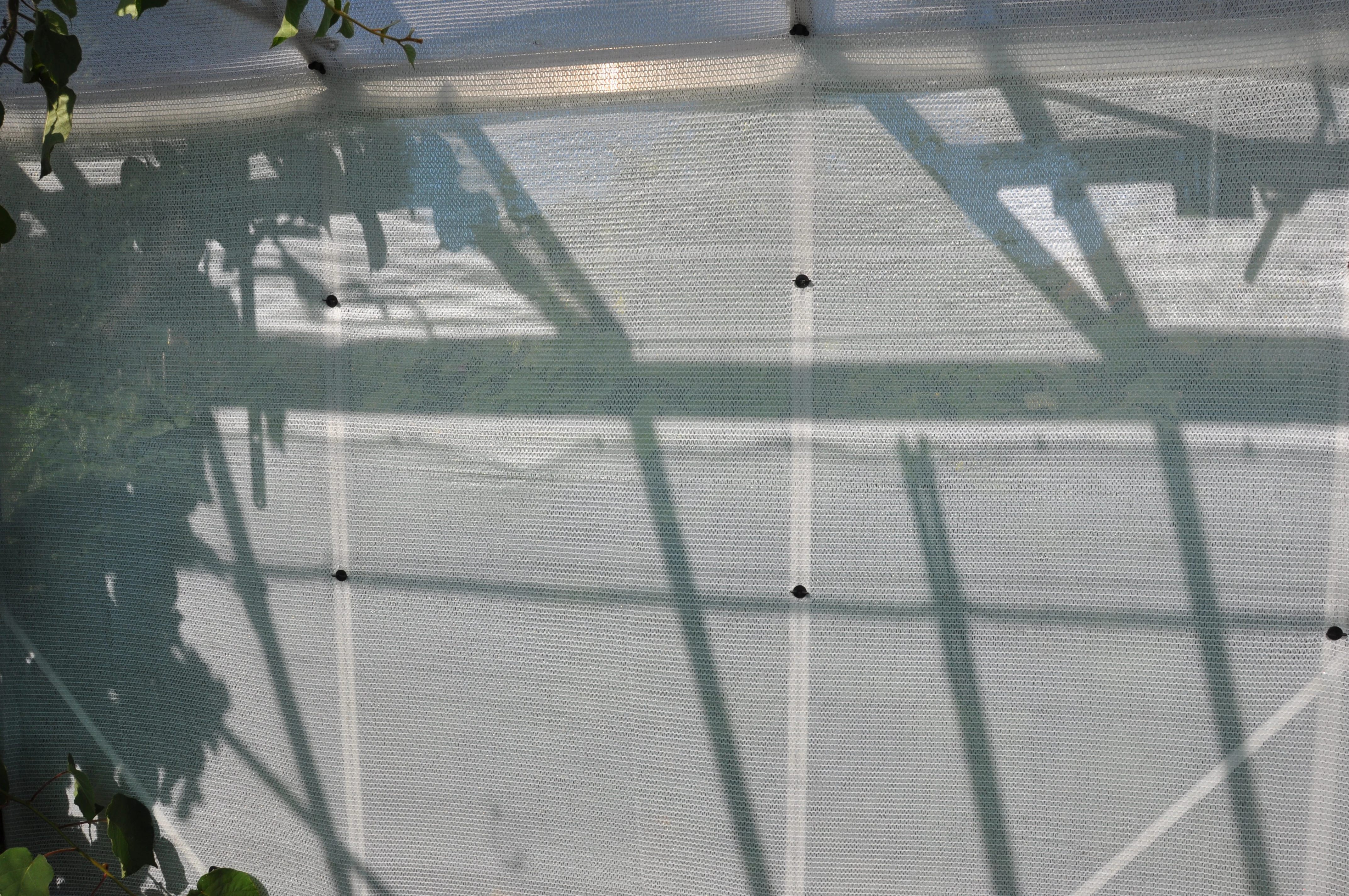 Royal Well Rw15-Screen Wit Schermgaas 180 x 500 cm - Afbeelding 1